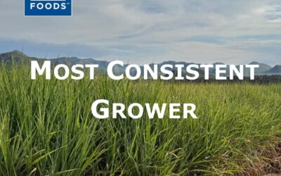 Growers Awards Nkomazi Mills